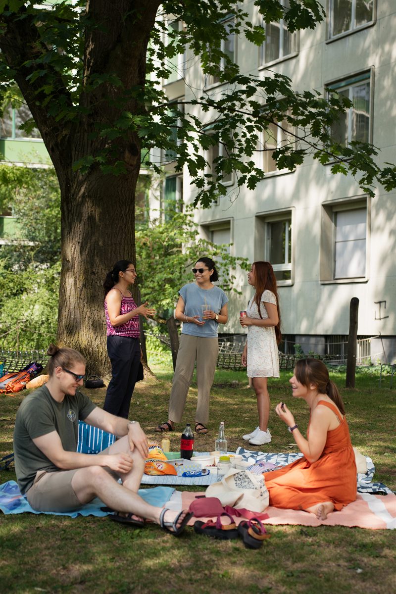 Stehen und plaudern im Park