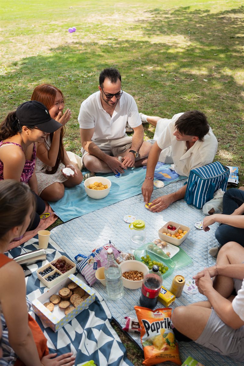 Ein Spiel auf der Picknickdecke