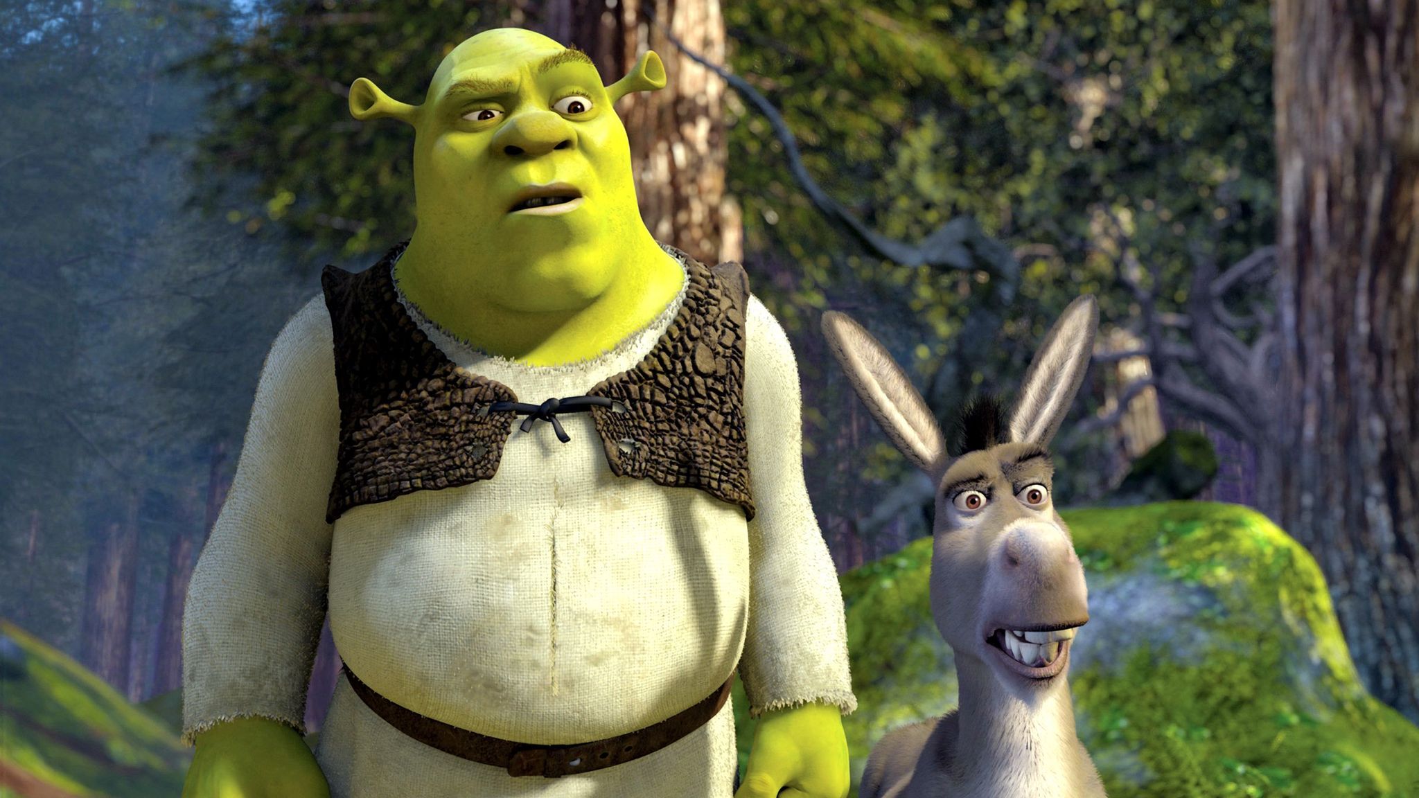 Shrek Movie Night