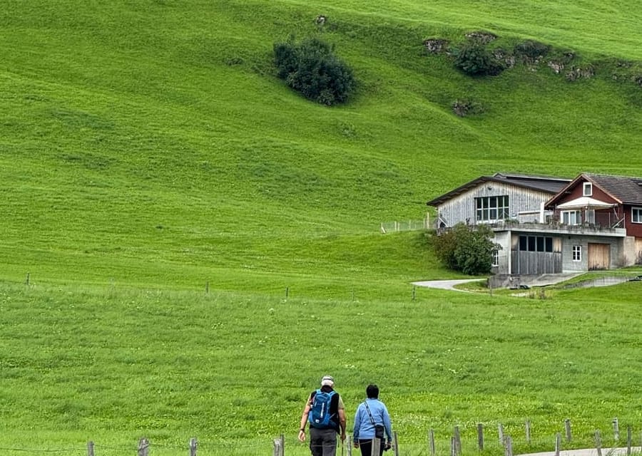 Zwei Personen wandern gemeinsam auf einem Weg durch grüne Hügel